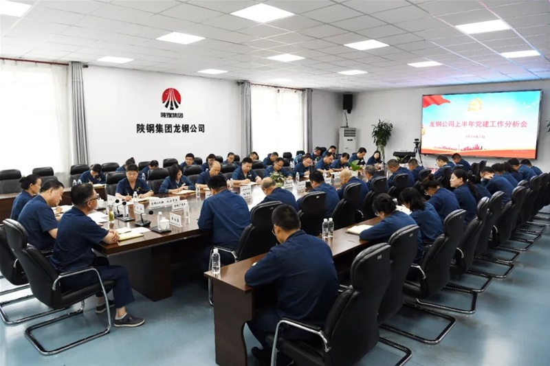 公司召开2024年上半年党建工作分析会