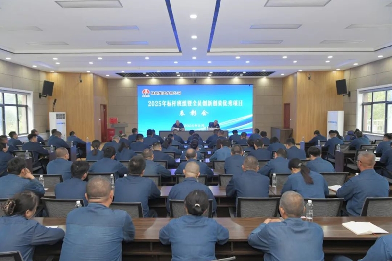 公司召开2025年上半年标杆班组暨全员创新创效优秀项目表彰会