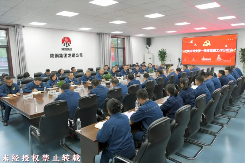 公司召开一季度党建工作分析会